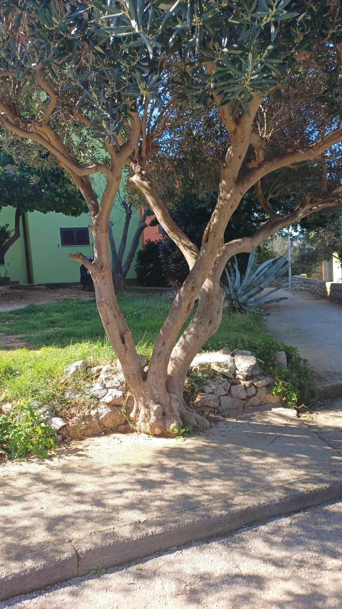 Apartamento Dairos2 Mali Lošinj Exterior foto